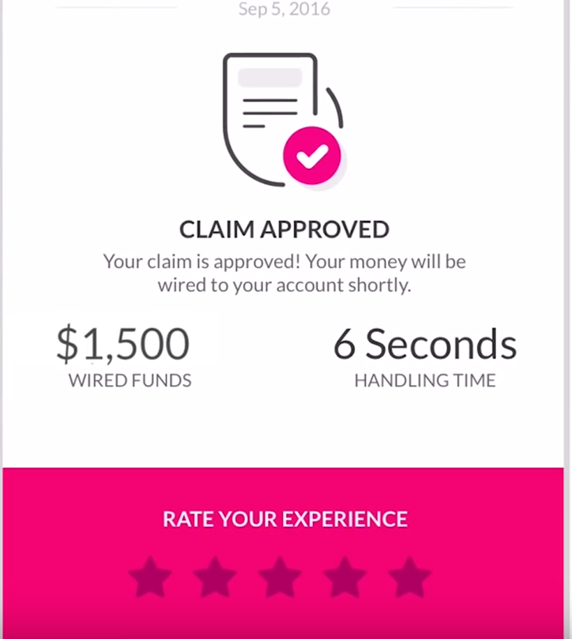 Image result for lemonade insurance image